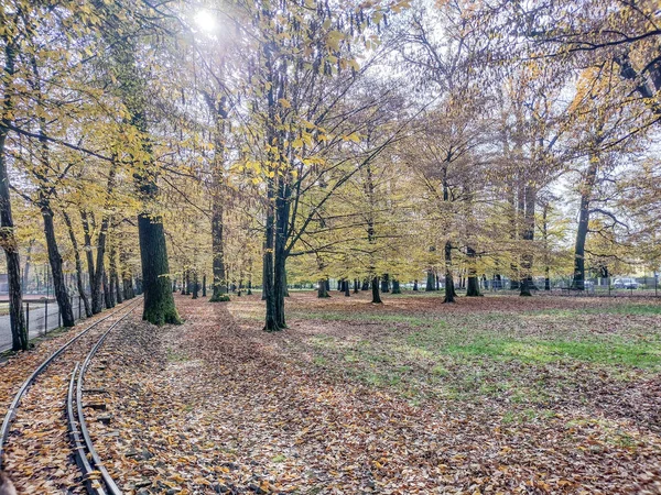 Kolejka Parku Jesienią Mieście Baia Mare Rumunia — Zdjęcie stockowe