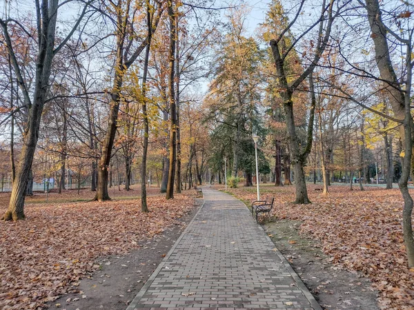 来自公园的秋天风景 在罗马尼亚Baia Mare市 — 图库照片