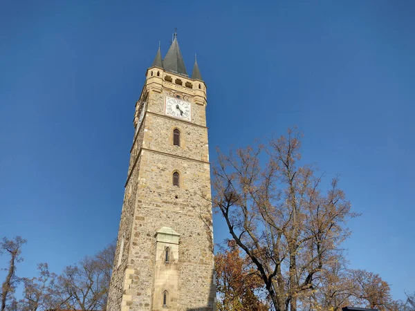Stephen Tower Baia Mare Rumänien Gurkväxter Stefan — Stockfoto