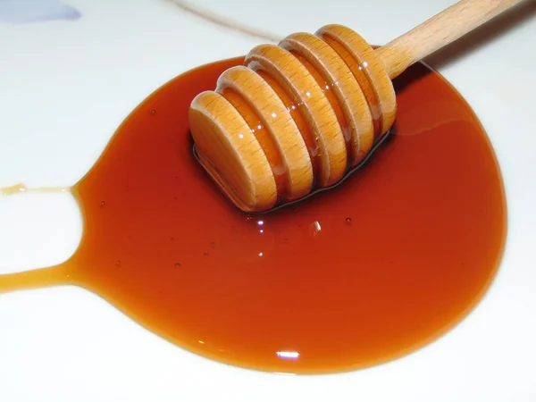 Kastanjehonung Tallrik Naturlig Honung — Stockfoto