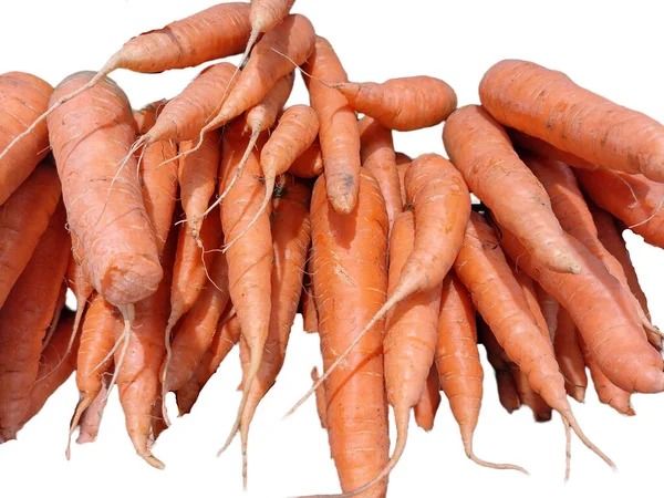 Bunch Carrots Isolated White Background — Stock Photo, Image