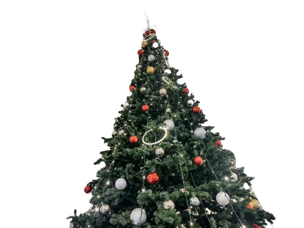 Velký Vánoční Strom Izolované Bílém Pozadí — Stock fotografie
