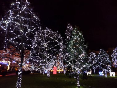 Romanya 'nın Baia Mare kentinde Noel ışıkları