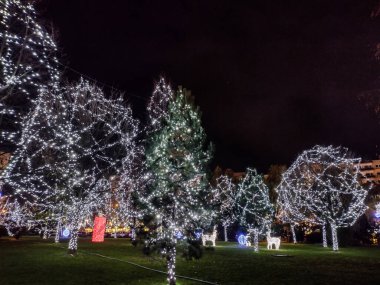 Romanya 'nın Baia Mare kentinde Noel ışıkları