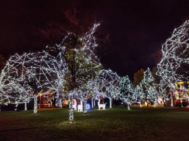 Romanya 'nın Baia Mare kentinde Noel ışıkları