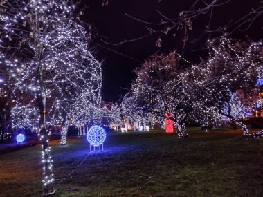 Romanya 'nın Baia Mare kentinde Noel ışıkları