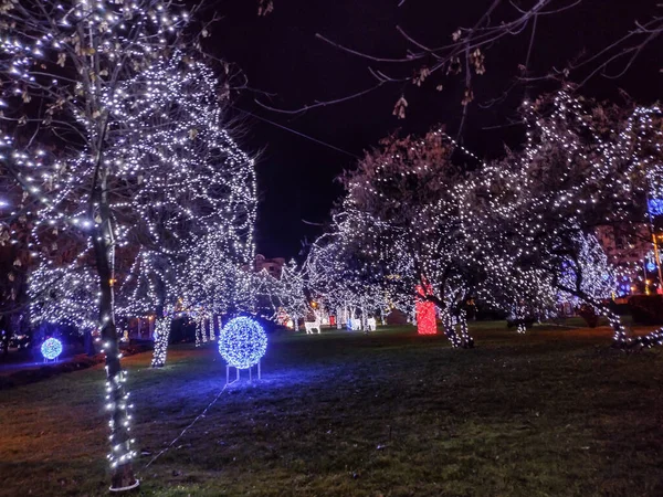 Romanya 'nın Baia Mare kentinde Noel ışıkları