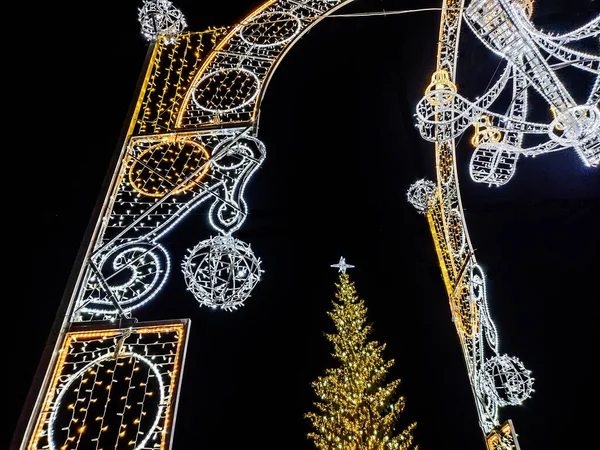 Decoração Natal Feita Luzes Uma Grande Árvore Natal Natural Baia — Fotografia de Stock