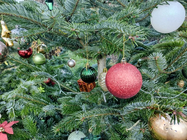 Karácsonyfa Földgömbökkel Egyéb Dekorációkkal Romániában — Stock Fotó