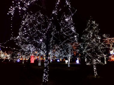 Romanya 'nın Baia Mare kentinde ışıklardan yapılmış Noel süslemeleri