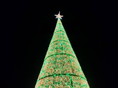 Romanya 'nın Baia Mare kentinde ışıklardan yapılmış Noel ağacı