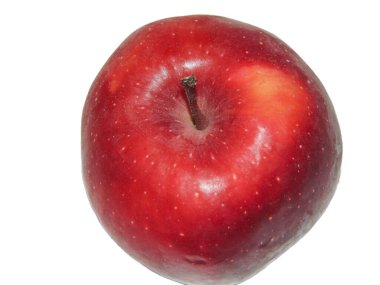 Red apple tree isolated on white background