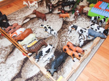 Group of toy cows arranged in a pen by a child from Romania