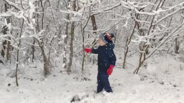 Romanyalı bir çocuk, karla kaplı bir ağacın dalını sallıyor. Karla çocuk oyuncağı. Yavaş çekim çerçevesi