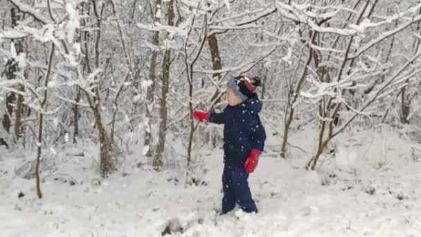 Chłopiec Rumunii Potrząsa Pokrytą Śniegiem Gałęzią Drzewa Dziecięca Zabawa Śniegiem — Wideo stockowe