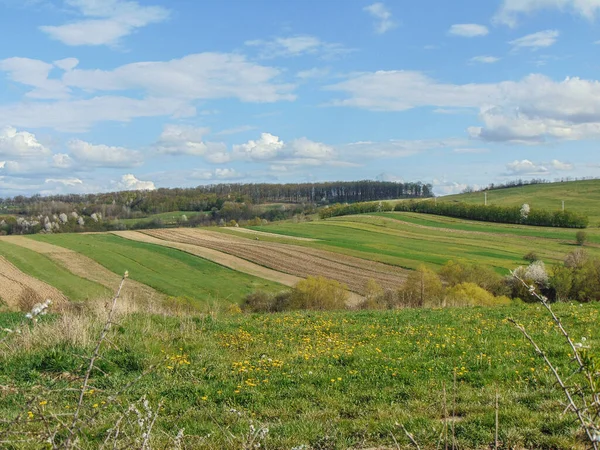 Spring Landscape Romania Natural Landscape April — Stock Photo, Image