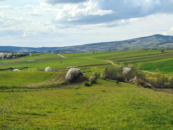 Vårlandskap Rumänien Naturlandskap April — Stockfoto