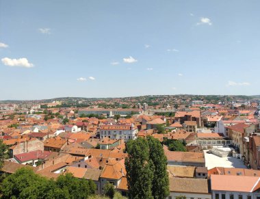 Romanya 'nın Oradea kentinin Temmuz 2023' teki hava görüntüsü