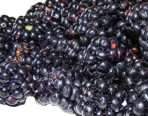 Group Fresh Blackberries Romania — Stockfoto