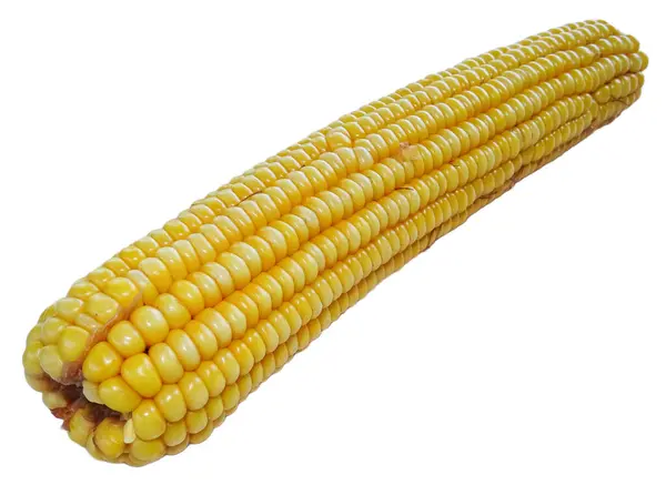 Vařená Kukuřice Izolované Bílém Pozadí — Stock fotografie