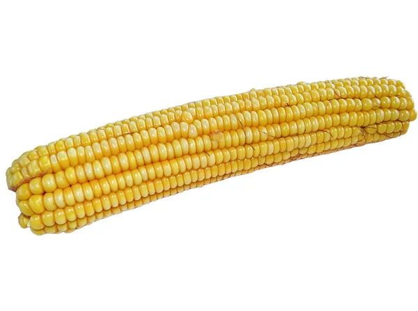 Boiled Corn Isolated White Background — Stock Photo, Image