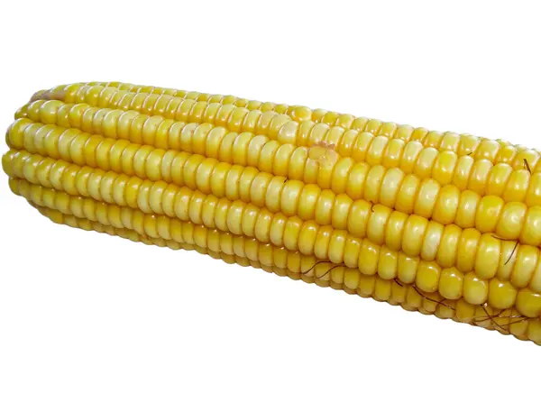 在白色背景上分离的煮熟的玉米 — 图库照片