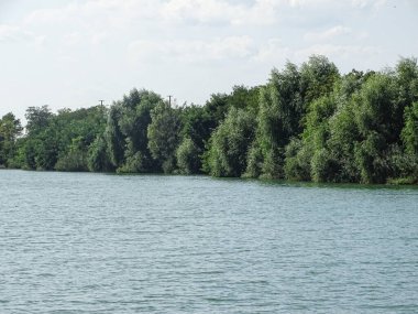 Romanya 'da gölün kenarında bir sürü ağaç var.