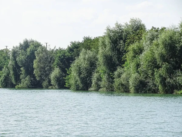Romanya 'da gölün kenarında bir sürü ağaç var.