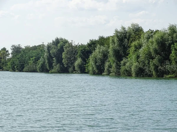 Romanya 'da gölün kenarında bir sürü ağaç var.