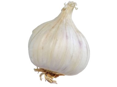 Beyaz arka plan üzerinde izole sarımsak ampul