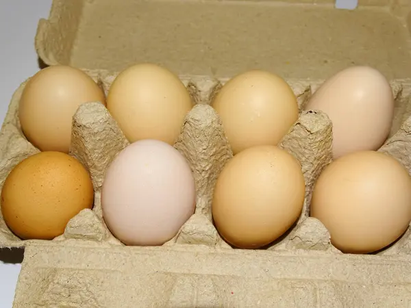 Chicken Eggs Formwork — Stock Photo, Image