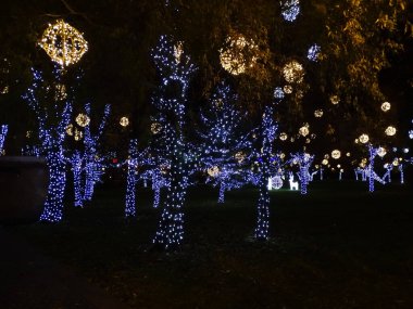Romanya 'nın Baia Mare kentinde Noel ışıkları
