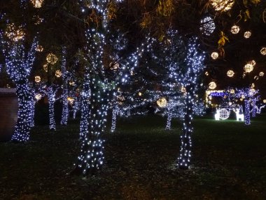 Romanya 'nın Baia Mare kentinde Noel ışıkları