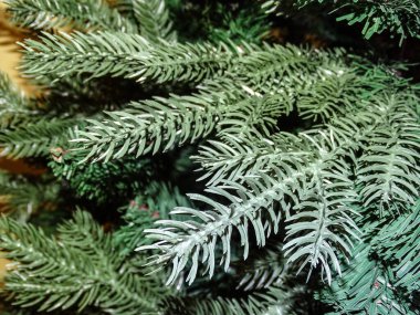 Yapay Noel ağacının dalları. Ayrıntılar