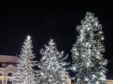 Romanya 'nın Baia Mare kentinde ışıklı Noel ağaçları