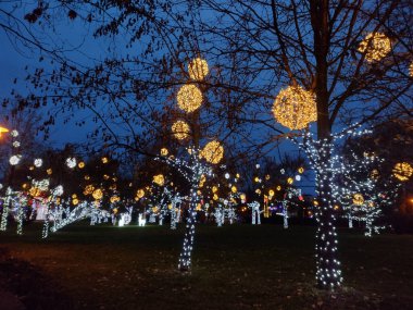 Romanya 'nın Baia Mare kentinde Noel ışıkları
