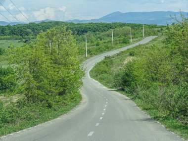 Romanya 'da asfalt yol ve yeşil ağaçlar