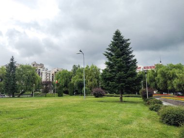 Romanya 'nın Baia Mare kentinde park