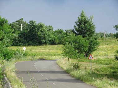 Tepedeki asfalt yolda bir sürü ağaç ve çimen var. Romanya 'nın Maramures ilçesinde. Yaz manzarası
