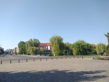 Romanya 'nın Baia Mare kentindeki binalar ve ağaçlar