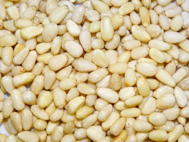 Çam tohumu yığını. Çam tohumları arka planı