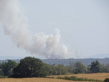 Romanya 'nın Maramures ilçesinde bitki yangını