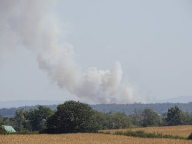 Romanya 'nın Maramures ilçesinde bitki yangını