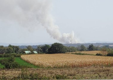 Romanya 'nın Maramures ilçesinde bitki yangını