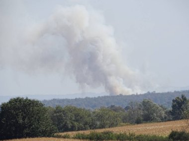 Romanya 'nın Maramures ilçesinde bitki yangını