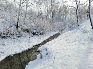 Romanya 'nın Maramures kentinde bir dere ve kar