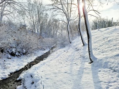 Romanya 'nın Maramures kentinde bir dere ve kar