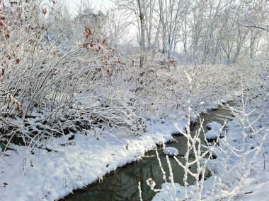 Romanya 'nın Maramures kentinde bir dere ve kar