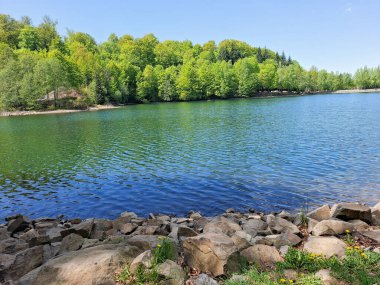 Mogosa tatil beldesinde Bodi Gölü ve baharda yeşil bir manzara. Maramures County, Romanya