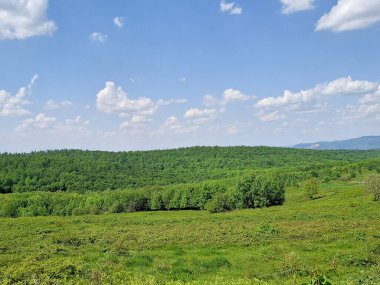 Baharda yeşil manzara. Romanya 'nın Maramures ilçesinde
